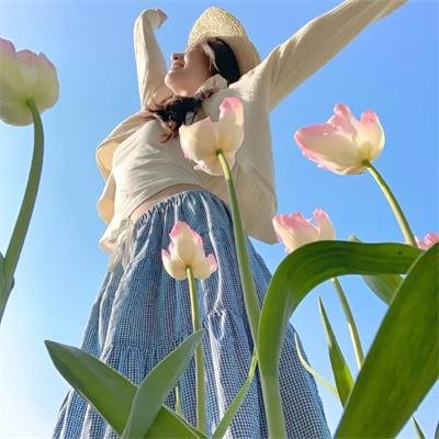 远山的红叶